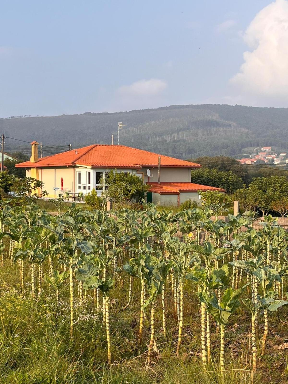 Casa Frutales Escaselas Finisterre Exterior photo